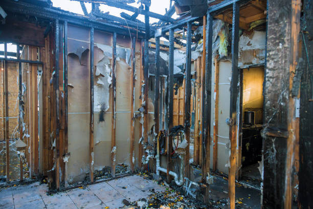 Professional Fire Damage Repair technician working in Princeton, TX